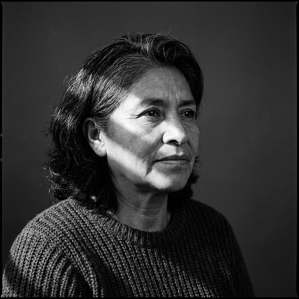 Retrato de Leticia, caso Ley 73